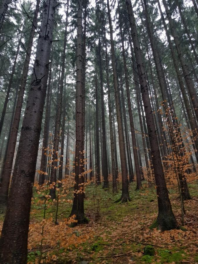 Horska Chata V Srdci Kremnickych Hor Banská Bystrica Exterior foto