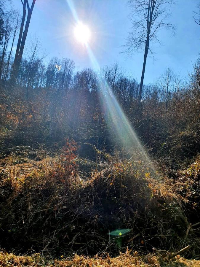 Horska Chata V Srdci Kremnickych Hor Banská Bystrica Exterior foto