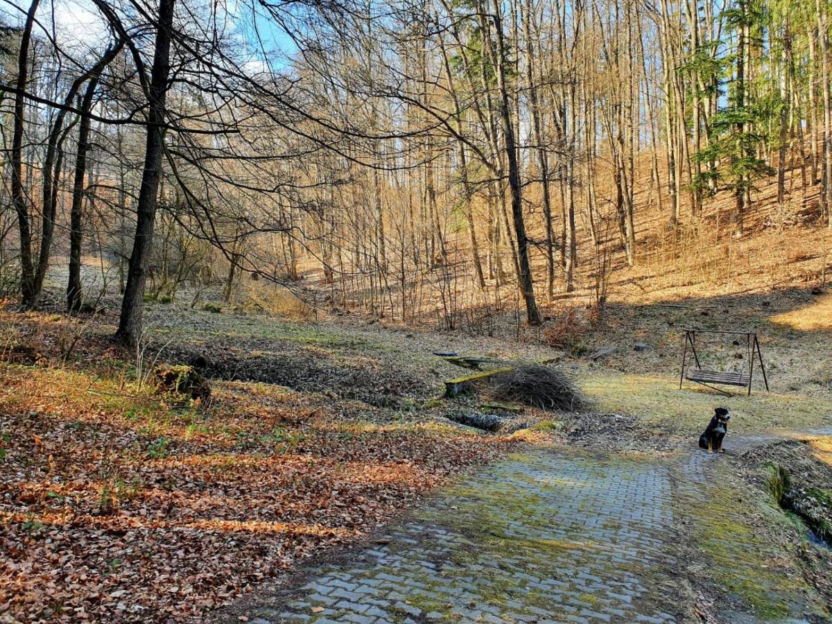 Horska Chata V Srdci Kremnickych Hor Banská Bystrica Exterior foto